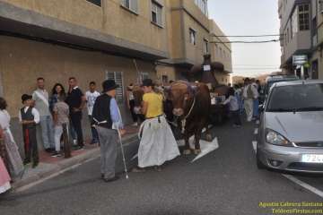 Romerías del Carmen en Marpequeña, Medianía y Las Huesas (Foto TF y TA)